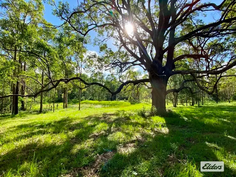 Sixth view of Homely rural property listing, LOT Lots 61 & Lower Kangaroo Creek Road, Coutts Crossing NSW 2460