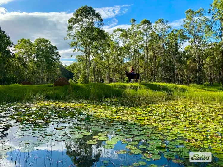 Seventh view of Homely rural property listing, LOT Lots 61 & Lower Kangaroo Creek Road, Coutts Crossing NSW 2460