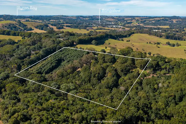 Second view of Homely house listing, 802 Friday Hut Road, Binna Burra NSW 2479