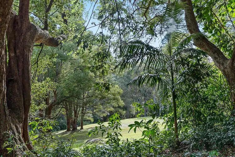 Fifth view of Homely house listing, 802 Friday Hut Road, Binna Burra NSW 2479