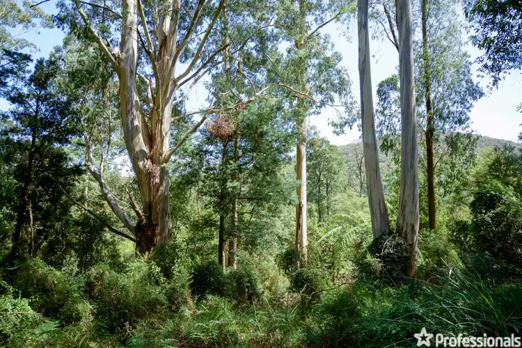 Main view of Homely land listing, 50 Coles Road, Three Bridges VIC 3797
