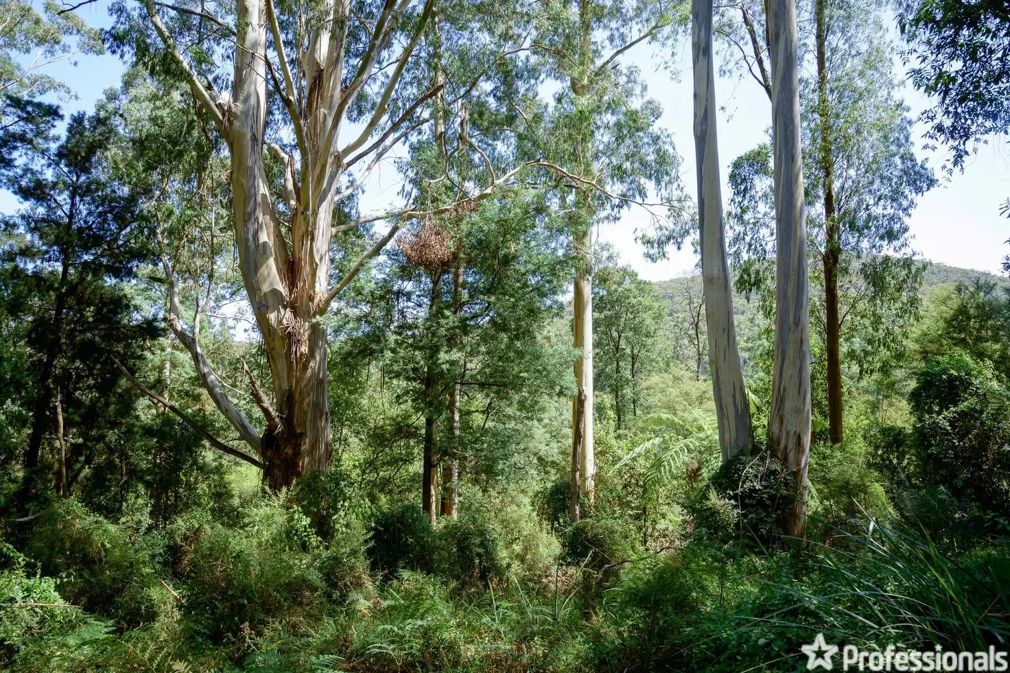 Main view of Homely land listing, 50 Coles Road, Three Bridges VIC 3797