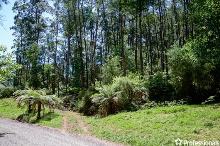 Fourth view of Homely land listing, 50 Coles Road, Three Bridges VIC 3797