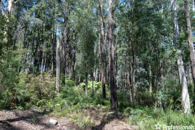 Fifth view of Homely land listing, 50 Coles Road, Three Bridges VIC 3797