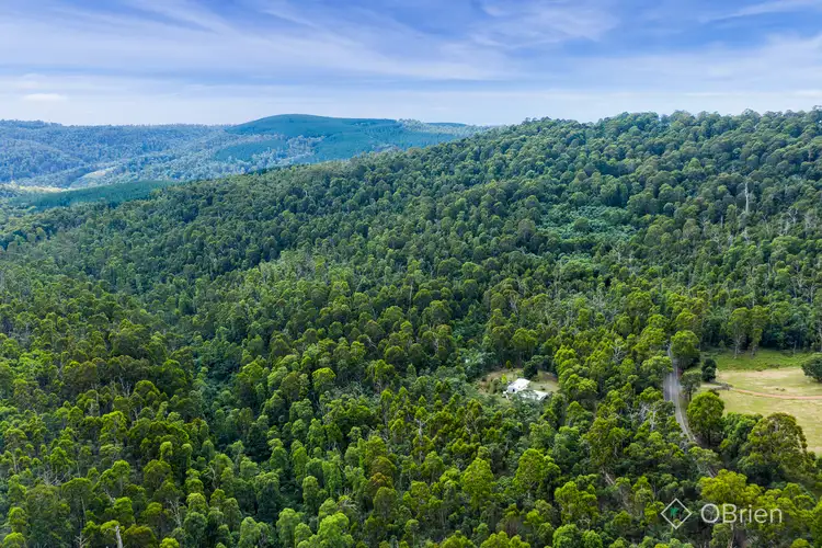 Fourth view of Homely land listing, 3071 Mansfield-Whitfield Road, Tolmie VIC 3723