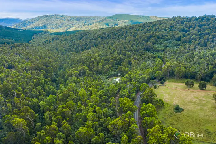 Fifth view of Homely land listing, 3071 Mansfield-Whitfield Road, Tolmie VIC 3723