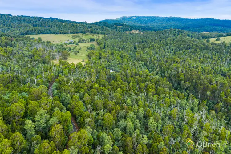 Sixth view of Homely land listing, 3071 Mansfield-Whitfield Road, Tolmie VIC 3723