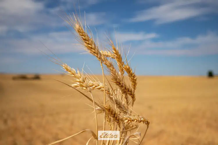 47a & 48a Calder Highway And 11b +12a Hattah-Robinvale Road, Ouyen VIC 3490