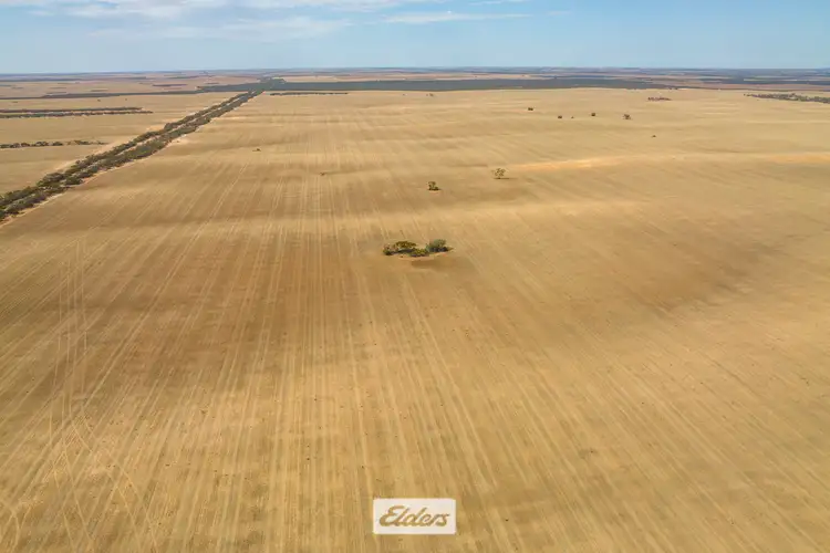 Second view of Homely rural property listing, 47a & 48a Calder Highway And 11b +12a Hattah-Robinvale Road, Ouyen VIC 3490