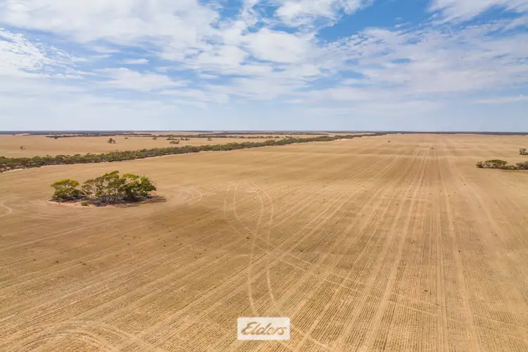 Third view of Homely rural property listing, 47a & 48a Calder Highway And 11b +12a Hattah-Robinvale Road, Ouyen VIC 3490