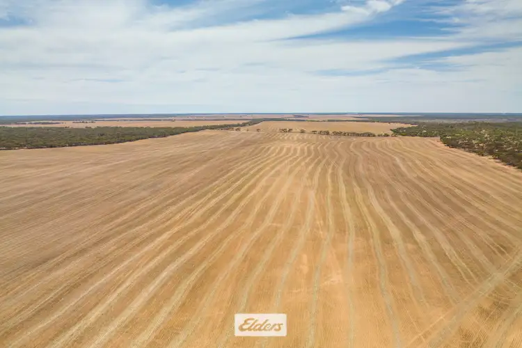 Fourth view of Homely rural property listing, 47a & 48a Calder Highway And 11b +12a Hattah-Robinvale Road, Ouyen VIC 3490