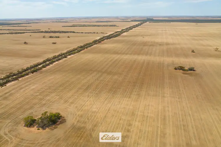 Fifth view of Homely rural property listing, 47a & 48a Calder Highway And 11b +12a Hattah-Robinvale Road, Ouyen VIC 3490