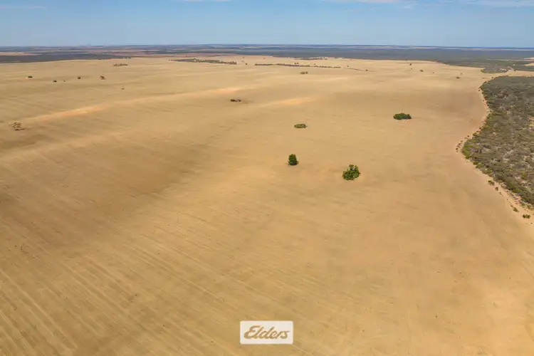 Sixth view of Homely rural property listing, 47a & 48a Calder Highway And 11b +12a Hattah-Robinvale Road, Ouyen VIC 3490