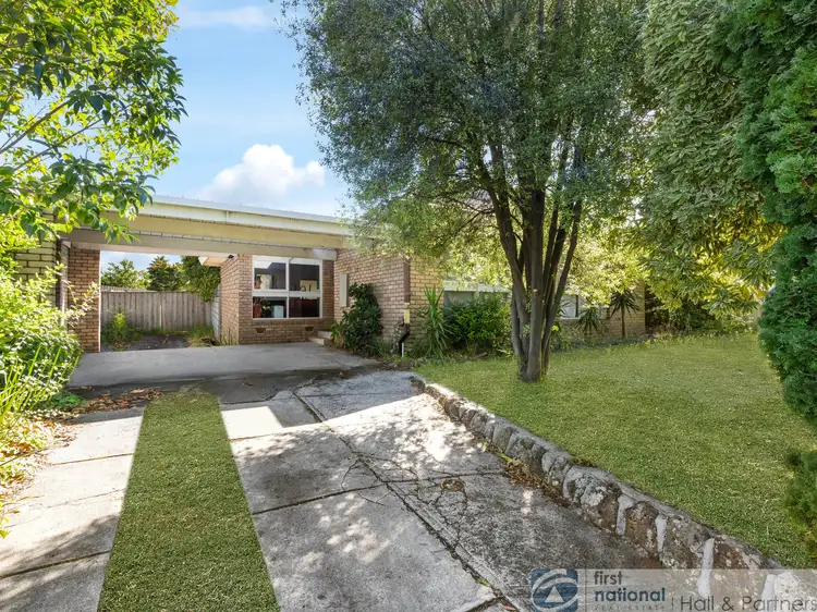 Main view of Homely house listing, 53 Curie Avenue, Mulgrave VIC 3170