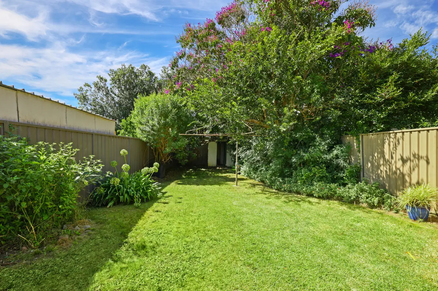 Main view of Homely house listing, 15 Manchester Street, Dulwich Hill NSW 2203