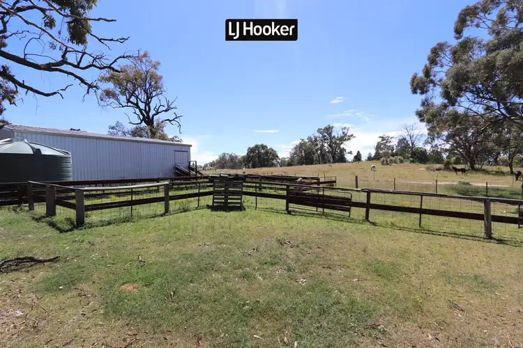 Sixth view of Homely rural property listing, 1697 Bingara Road, Bundarra NSW 2359