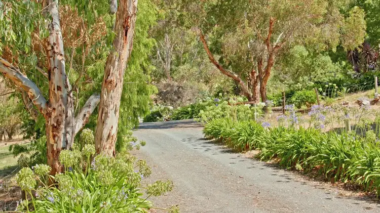 Fifth view of Homely rural property listing, 146 Bakers Gully Road, Clarendon SA 5157