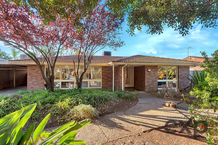Main view of Homely house listing, 262 Milne Road, Modbury Heights SA 5092