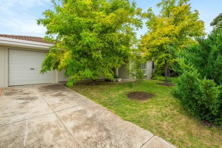 Sixth view of Homely house listing, 96 Barramundi Drive, Hallett Cove SA 5158