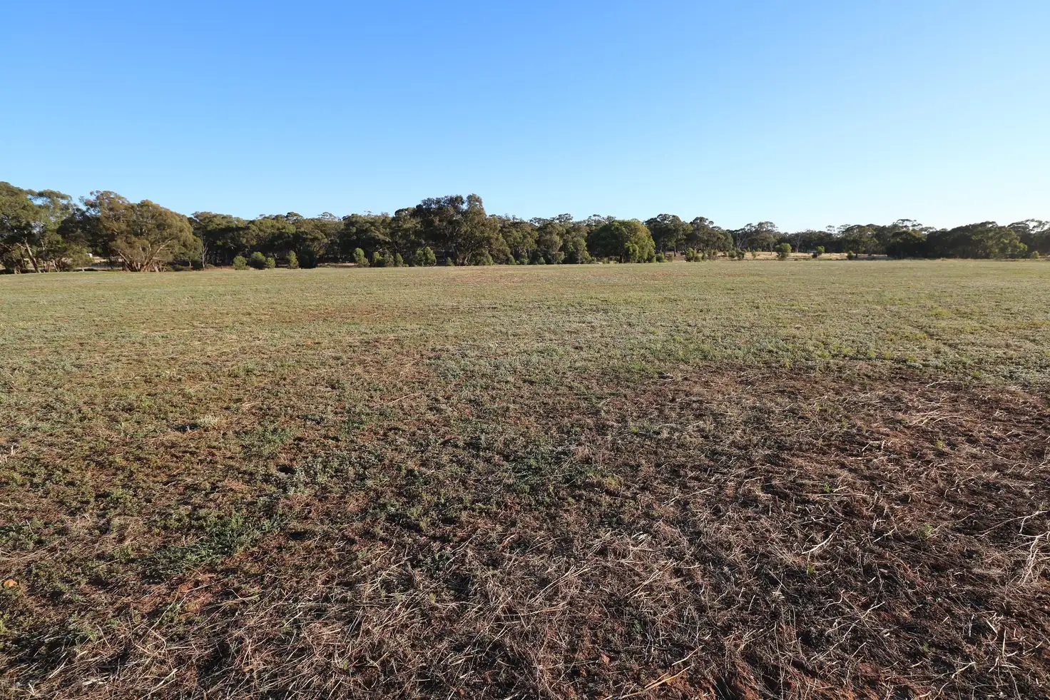 Main view of Homely rural property listing, CA 6 Nine Mile-Wedderburn (opposite 85 Nine Mile Road Wedderburn) Road, Nine Mile VIC 3518