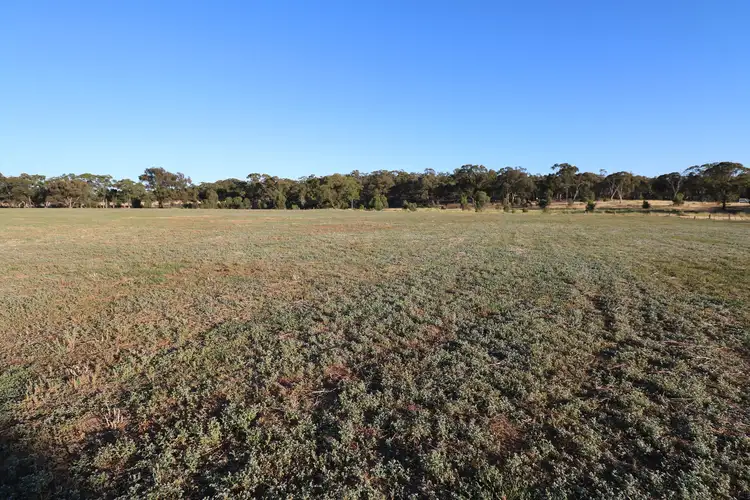 Seventh view of Homely rural property listing, CA 6 Nine Mile-Wedderburn (opposite 85 Nine Mile Road Wedderburn) Road, Nine Mile VIC 3518
