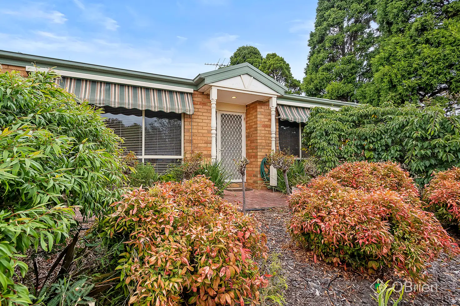 Main view of Homely unit listing, 1/155 Kars Street, Frankston VIC 3199