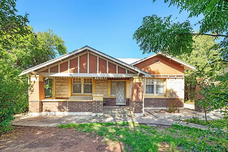 8 Olive Grove, Westbourne Park SA 5041