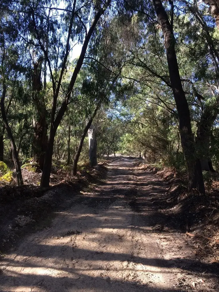 Sixth view of Homely rural property listing, Lot 1052 Bussell Highway, Stratham WA 6237