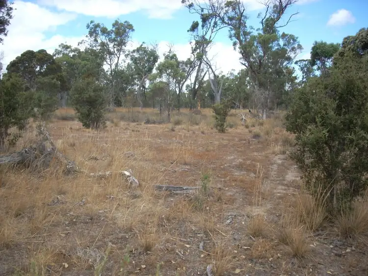 Seventh view of Homely rural property listing, LOT 104 Great Southern Highway, Tambellup WA 6320