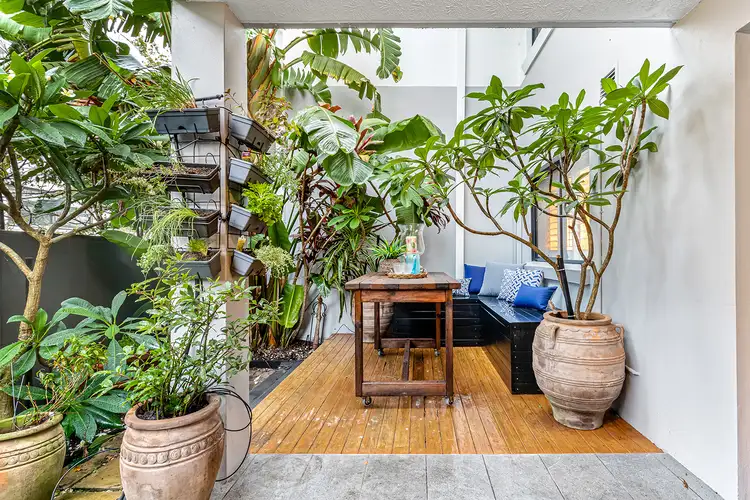 1/74 Old Pittwater Road, Brookvale NSW 2100