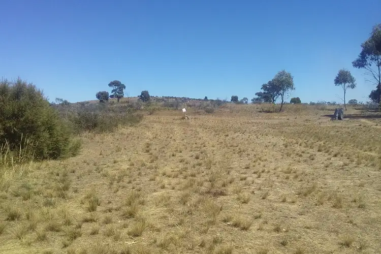 Third view of Homely rural property listing, Lot 1, 23 Newitts Lane, Bealiba VIC 3475