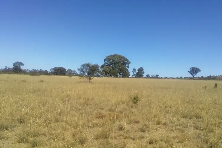 Fourth view of Homely rural property listing, Lot 1, 23 Newitts Lane, Bealiba VIC 3475