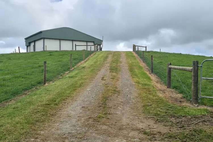 Main view of Homely rural property listing, 767 Mt Stanley Road, Lymwood TAS 7256