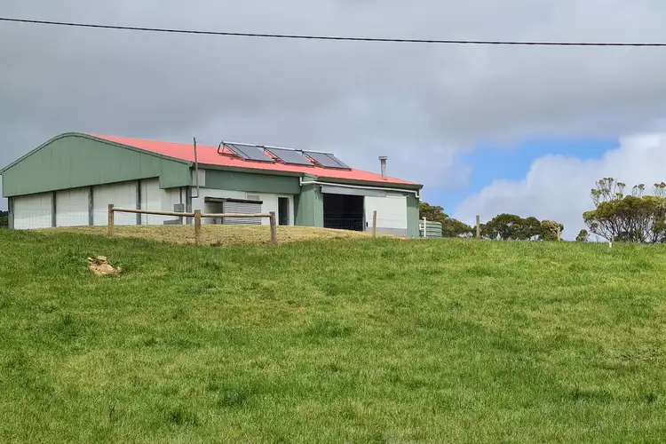 Second view of Homely rural property listing, 767 Mt Stanley Road, Lymwood TAS 7256