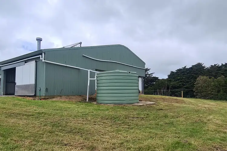 Fourth view of Homely rural property listing, 767 Mt Stanley Road, Lymwood TAS 7256