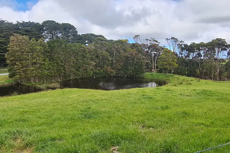 Seventh view of Homely rural property listing, 767 Mt Stanley Road, Lymwood TAS 7256
