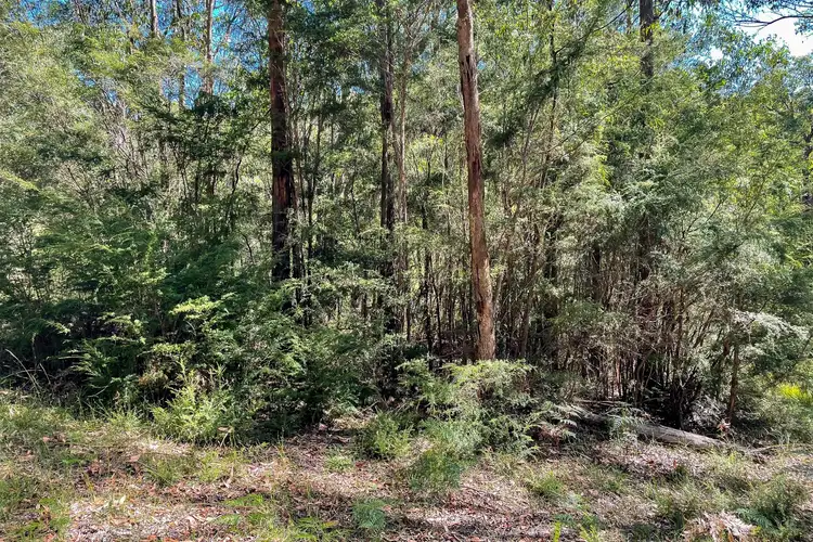 Third view of Homely land listing, LOT 61 & 62 Cedar Crescent, Mcmahons Creek VIC 3799