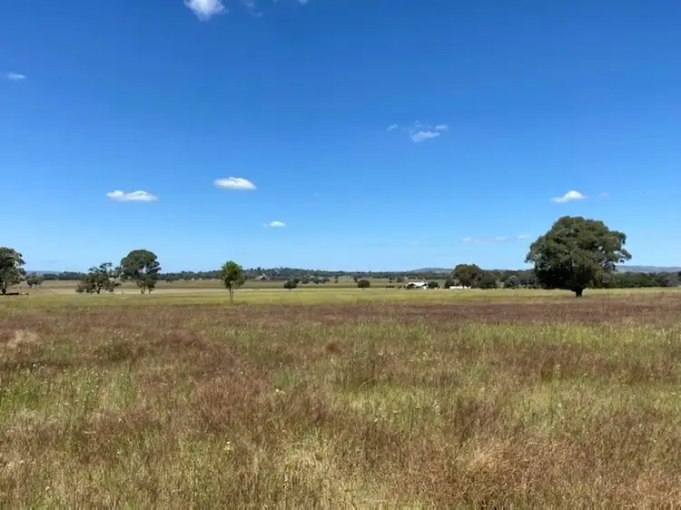 Main view of Homely rural property listing, 220 Castlereagh Highway, Mudgee NSW 2850