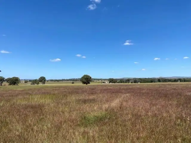 Second view of Homely rural property listing, 220 Castlereagh Highway, Mudgee NSW 2850