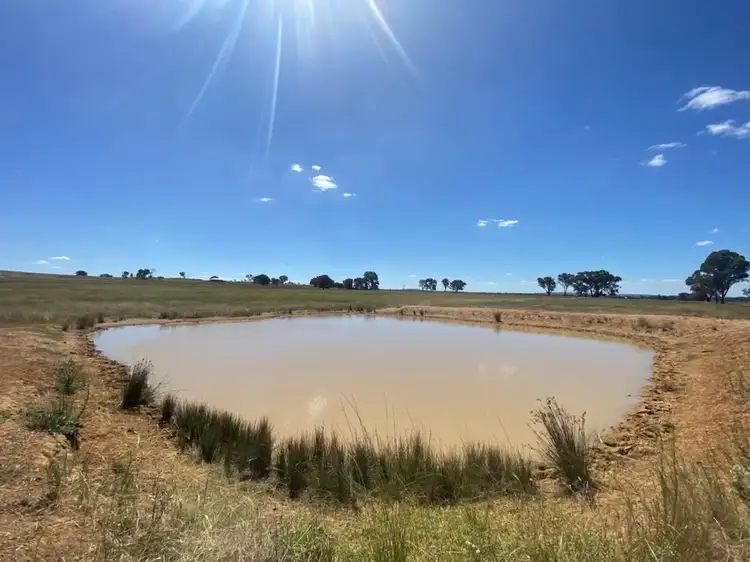 Third view of Homely rural property listing, 220 Castlereagh Highway, Mudgee NSW 2850