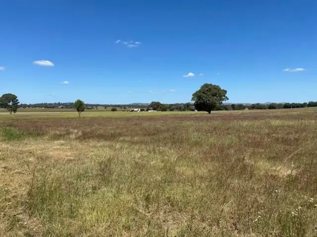Fourth view of Homely rural property listing, 220 Castlereagh Highway, Mudgee NSW 2850