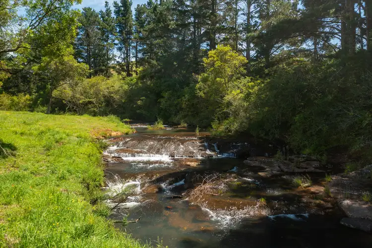 Second view of Homely rural property listing, 3690 Wingham Road, Comboyne NSW 2429