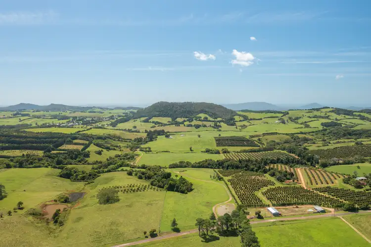 Third view of Homely rural property listing, 3690 Wingham Road, Comboyne NSW 2429