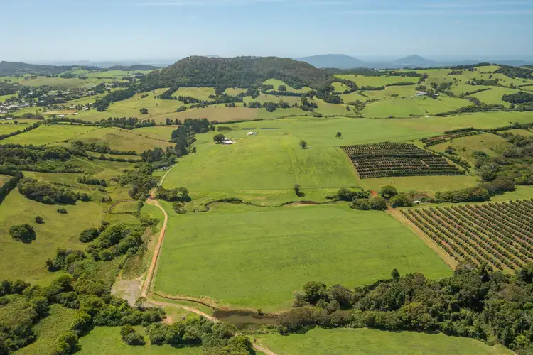 Fifth view of Homely rural property listing, 3690 Wingham Road, Comboyne NSW 2429