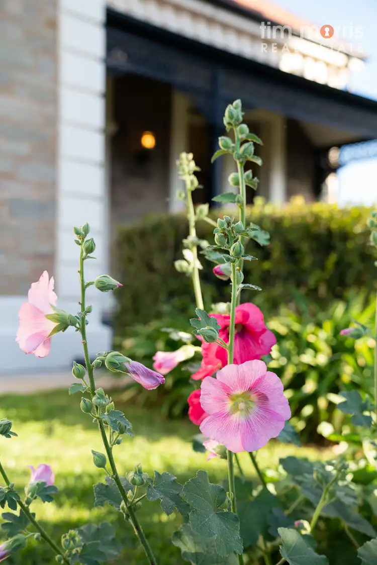 Fifth view of Homely land listing, 36 Hughes Street North, Woodville SA 5011