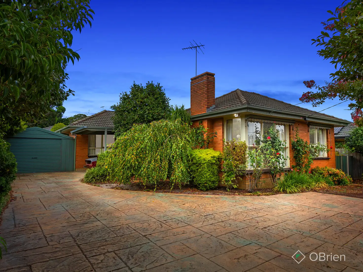 Main view of Homely house listing, 257 Blackburn Road, Blackburn South VIC 3130