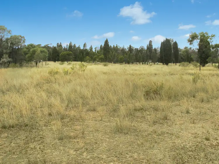 Third view of Homely rural property listing, 845 Ridge Road, Mudgee NSW 2850