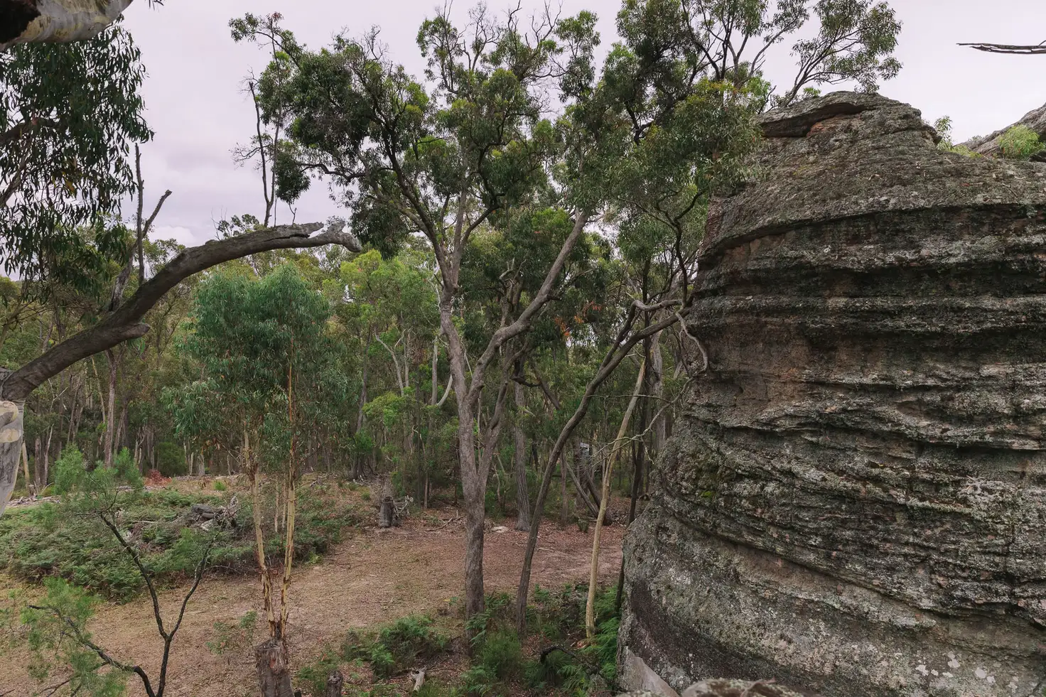 Main view of Homely rural property listing, 404 White Cedars Road, Mudgee NSW 2850