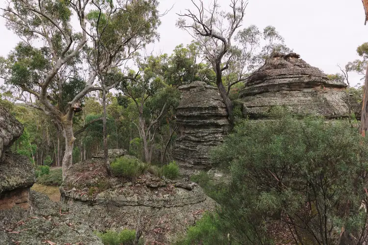 Sixth view of Homely rural property listing, 404 White Cedars Road, Mudgee NSW 2850