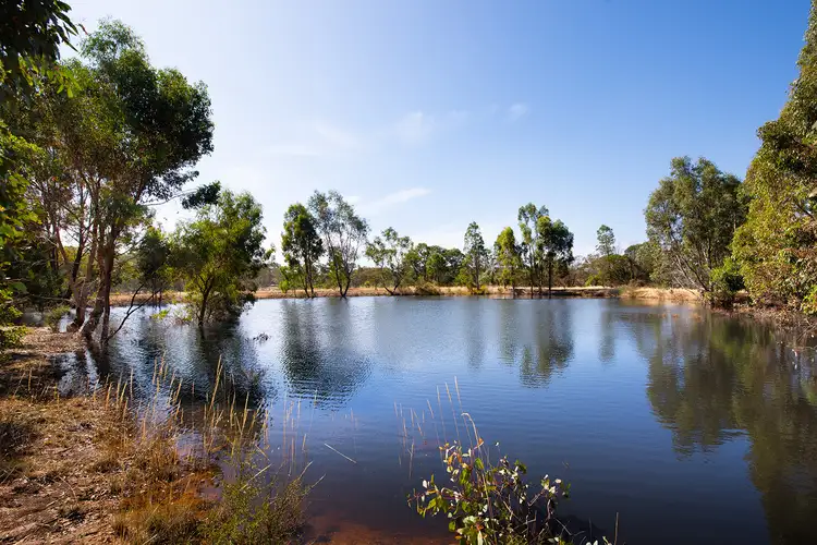 Third view of Homely house listing, 505 Mandurang South Road, Sedgwick VIC 3551